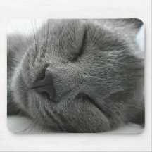 Sonhando o gatinho mouse pad