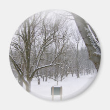Sono do inverno imã de refrigerador
