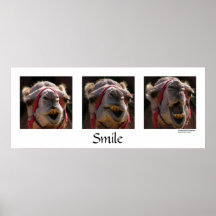 Sorriso Pôsteres