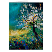 spring450408 cartoes