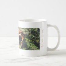 Sr. Longhorn Caneca