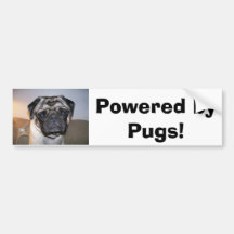 Sr. mordidelas, pstas por Pugs! Adesivos