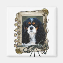 Stone_Paws_Cavalier_Dk Ima De Geladeira