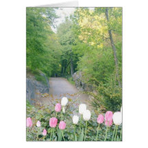 Strawberry Fields, Central Park Cartoes