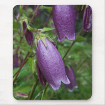 SummerFlowers012 Mousepad
