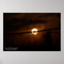 Sun farpado poster
