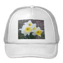 Surpresa do Daffodil! Bonés