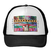 Surpresa somaliana colorida do gato bonés