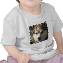 T-shirt do bebê do cão do Corgi do Pembroke