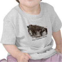 T-shirt do pônei dos Dales do bebê
