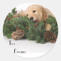 Tag bonitos do presente do cão do Natal Adesivos Redondos