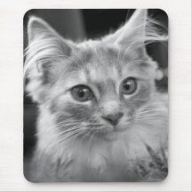tapete do rato bonito do gatinho mouse pads