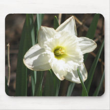 Tapete do rato da flor de Jonquil Mouse Pad