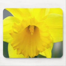 Tapete do rato - Daffodil amarelo Mousepads
