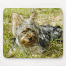 Tapete do rato de Yorkie Mousepad