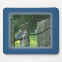 Tapete do rato do Bluebird Mousepads
