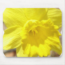 Tapete do rato do clássico do Daffodil Mousepad