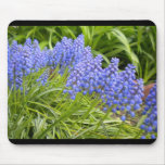 Tapete do rato do jacinto do Muscari/uva Mousepad