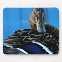Tapete do rato do pato mousepad