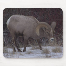 Tapete do rato dos carneiros do Big Horn Mousepads