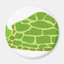 Tartaruga verde ima