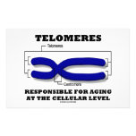 Telomeres responsável para envelhecer a nível celu papel personalizado
