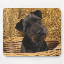Terrier preto mousepad