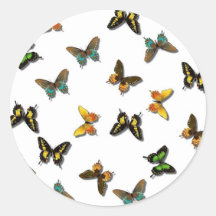 Teste padrão de borboleta bonito adesivos redondos