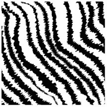 Teste padrão preto do impressão da zebra escultura foto