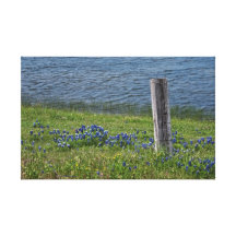 Texas rural no impressão das canvas do primavera impressão em tela canvas