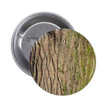 Textura de madeira mossy verde pins