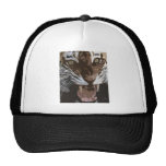 TIGER KEPSAR