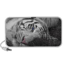 Tigre branco caixinha de som para mini