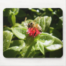 Tiro macro da abelha mouse pad