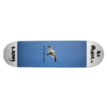 Título do design do skate do CHICOTE - em vôo.
