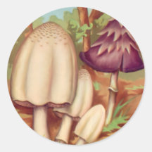 Toadstools 1 adesivo redondo