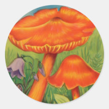 Toadstools 2 adesivo