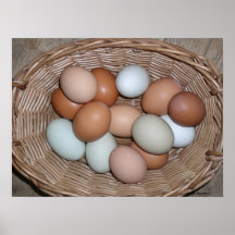 TODOS OS OVOS COLORIDOS NATURAIS POSTERS