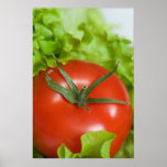 Tomate Poster