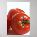 Tomate Posteres