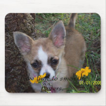 Tome o tempo cheirar as flores mousepad