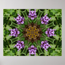 Traça e Lilac Impressão