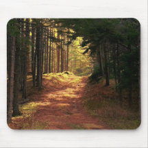 Trajeto de floresta Sunlit Mousepads