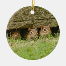 Três Chipmunks do bebê do amigo Enfeite