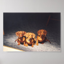 Tres Hombres Posters