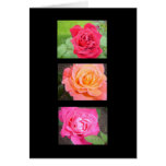 Três rosas bonitos cartao