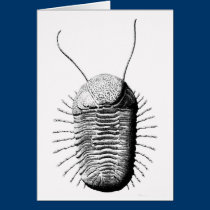 Trilobite postais