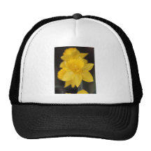 Trombeta Exceção nomeada Daffodil Bonés