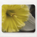 Trombeta Mousepad do Daffodil