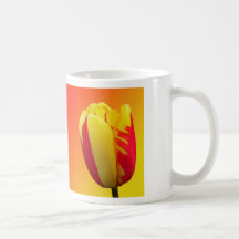 Tulipa Canecas